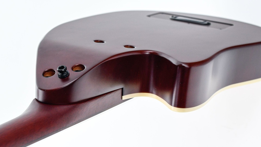 GODIN Multi Oud Encore Nylon Natural SG Fretless 11 string-10.jpg