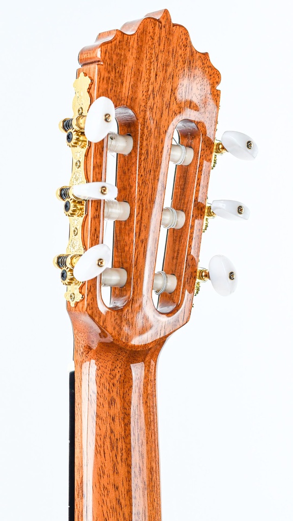 Alhambra 5P 7_8 Size-5.jpg