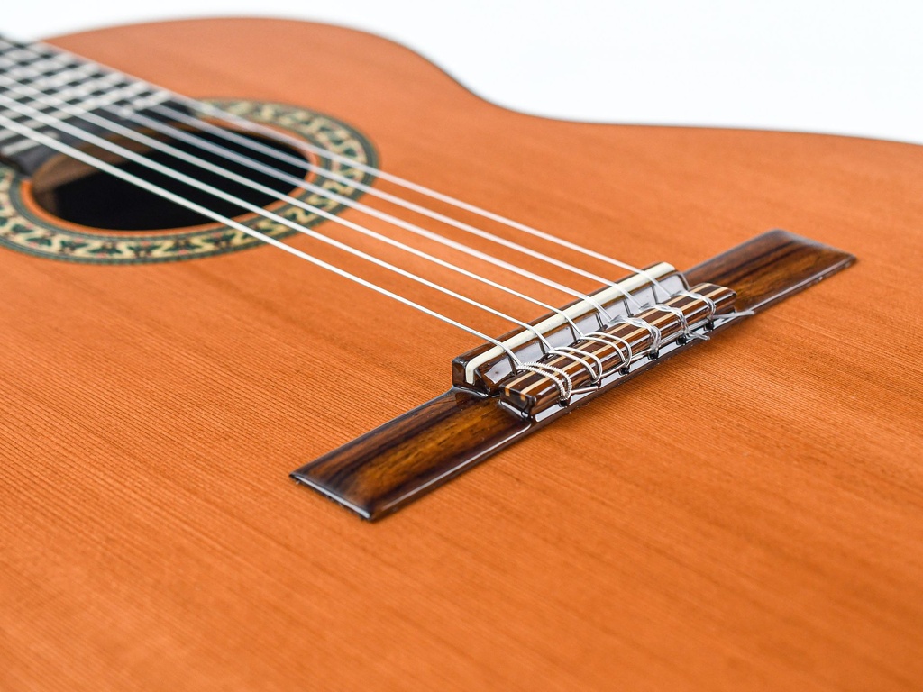 Alhambra 5P 7_8 Size-10.jpg