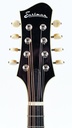Eastman MD604 Goldburst-4.jpg