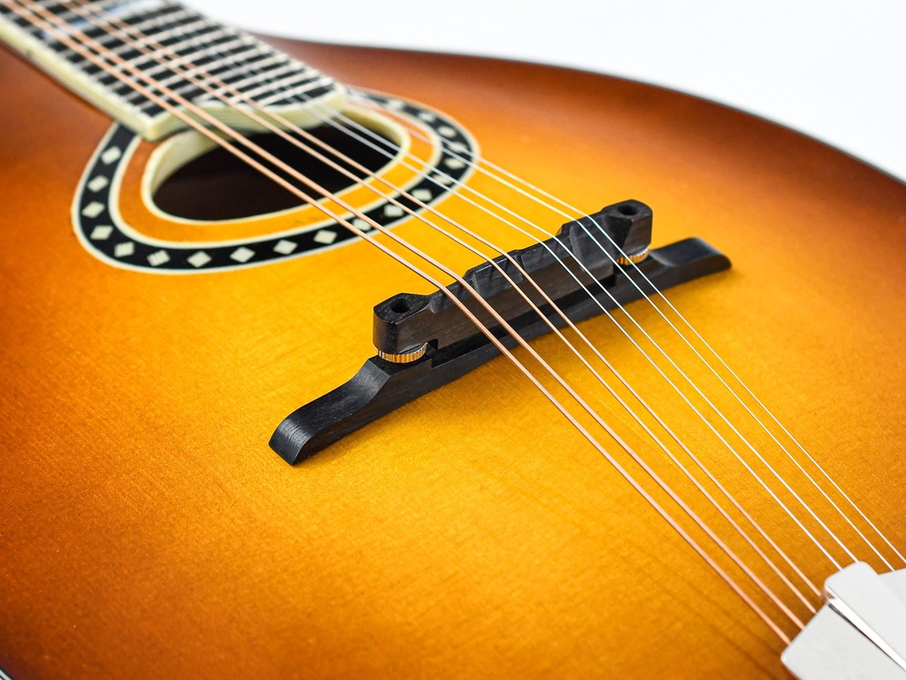 Eastman MD604 Goldburst-10.jpg