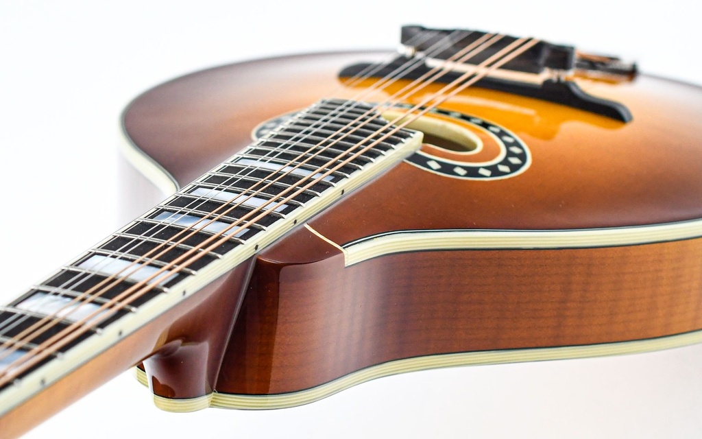 Eastman MD604 Goldburst-8.jpg