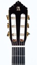 Alhambra 11P Cedar Rosewood-4.jpg