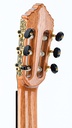 Alhambra 11P Cedar Rosewood-5.jpg