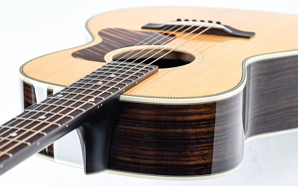 Eastman E20 00SSTC LTD Natural-8.jpg