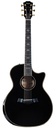 Taylor Custom GA AA Quilt Maple Adirondack Black