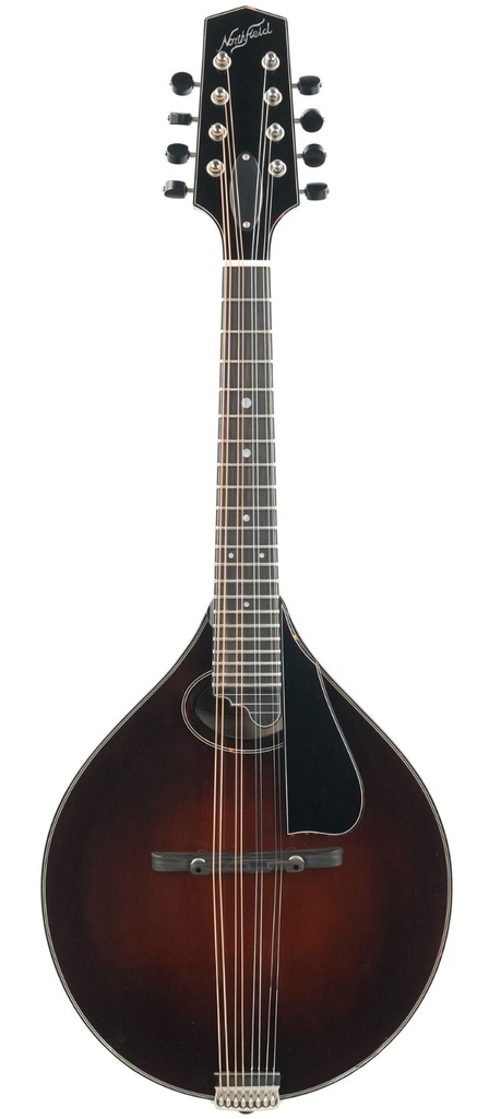 Northfield NFMSP A4 Special Alpine Spruce Icelandic Brown