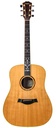 Taylor XXV-DR Limited no. 43 of 500 1999