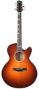 Santa Cruz FTC Flamed Maple German Spruce