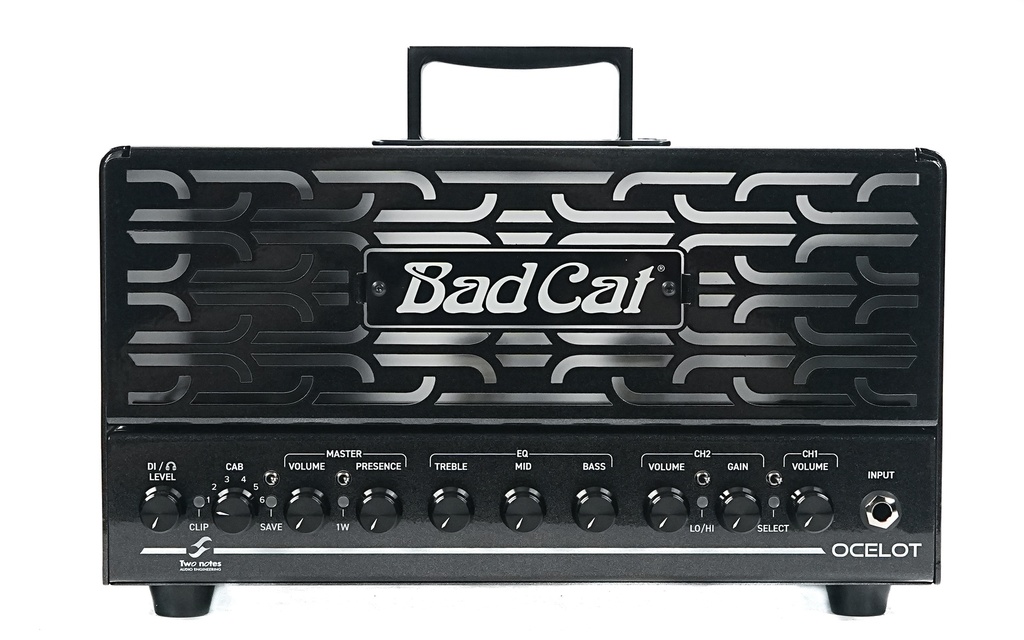 Bad Cat Ocelot Amp Head
