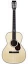 Santa Cruz H13 Moon Spruce Custom 2024