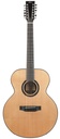 BSG GJ11F Quilted Mahogany Sitka Spruce 12 String