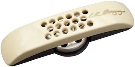 LR Baggs Anthem SS SL