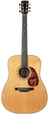 Boucher Spruce Goose Dreadnought All Adirondack Spruce 2006