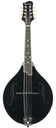 Eastman MD505 Black Top Limited A Style Mandolin