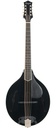 Bourgeois M5O Black Top Octave Mandolin