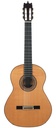 John van Gool Concert no. 1 Spruce Rosewood 2005