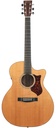 Martin GPCPA4 Sapele Spruce 2011