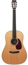 Collings DS2H Sitka Spruce Indian Rosewood 2023