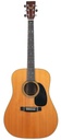 Martin D76 Bicentennial Commemorative 1976