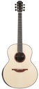 Lowden F50 Madagascar Rosewood Adirondack Spruce