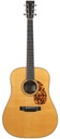 Rozawood Custom Figured Mahogany Dreadnought 2020