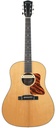 Eastman E10SS TC TFOA LTD Adirondack Natural 2021