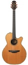 Takamine EN48C Natural 1992