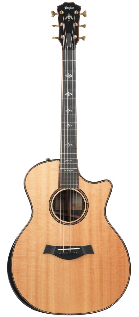 Taylor 914ce Spruce Rosewood 2021