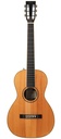 BSG P31F Parlor Cocobolo European Spruce 2012