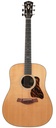 Taylor Gold Label 710e Natural
