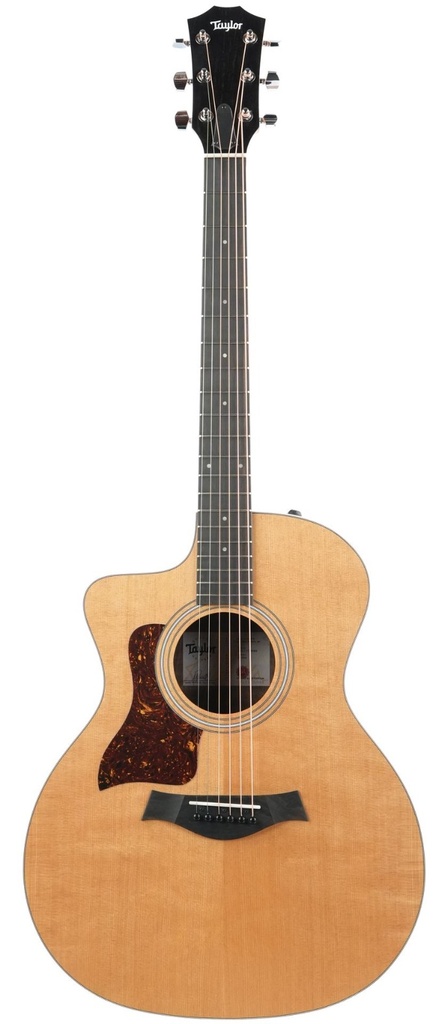 Taylor 214ce Lefty