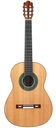 Wolfgang Jellinghaus Torres Modelo 43 Spruce Granadillo 2020