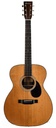 Eastman E20OM TC Thermo Cured