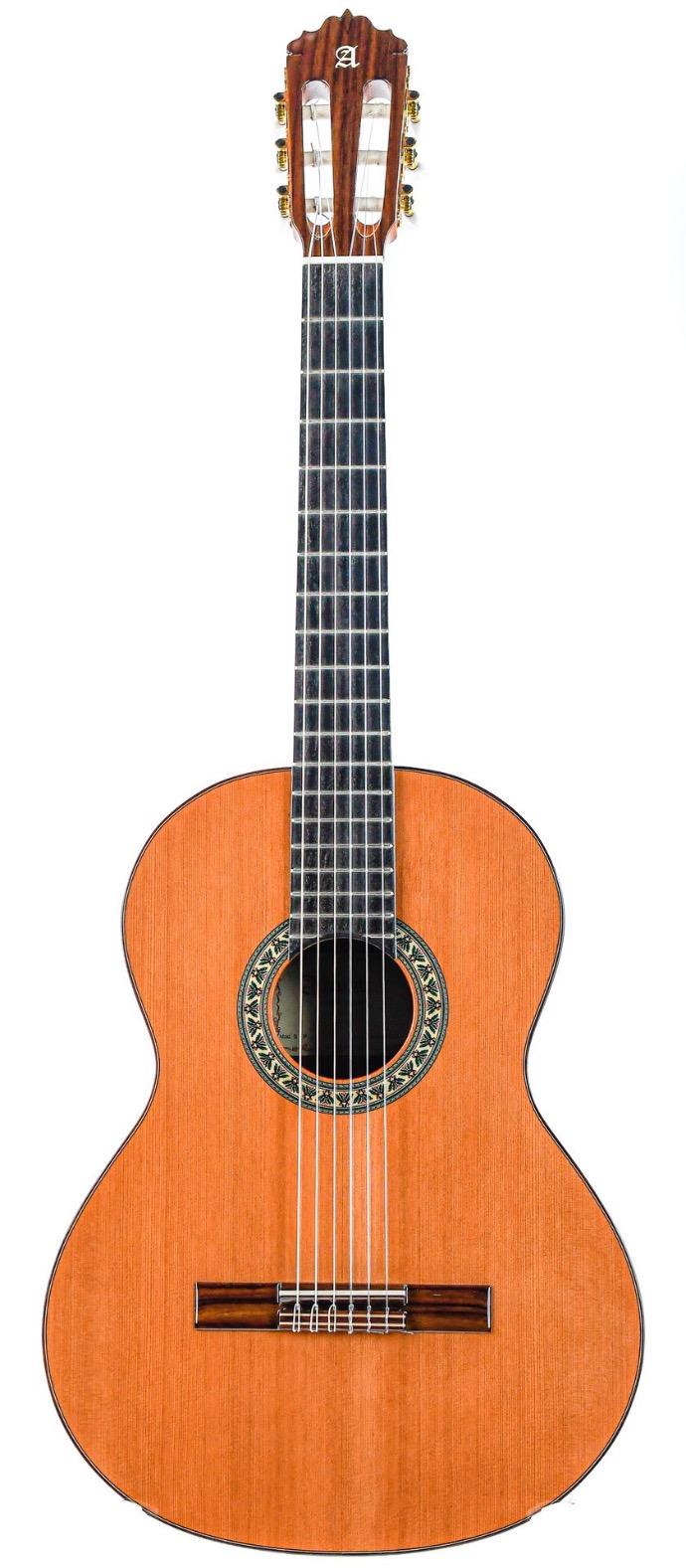 https://www.tfoa.eu/web/image/product.product/68361/image_1920/