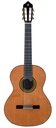 Alhambra 11P Cedar Rosewood