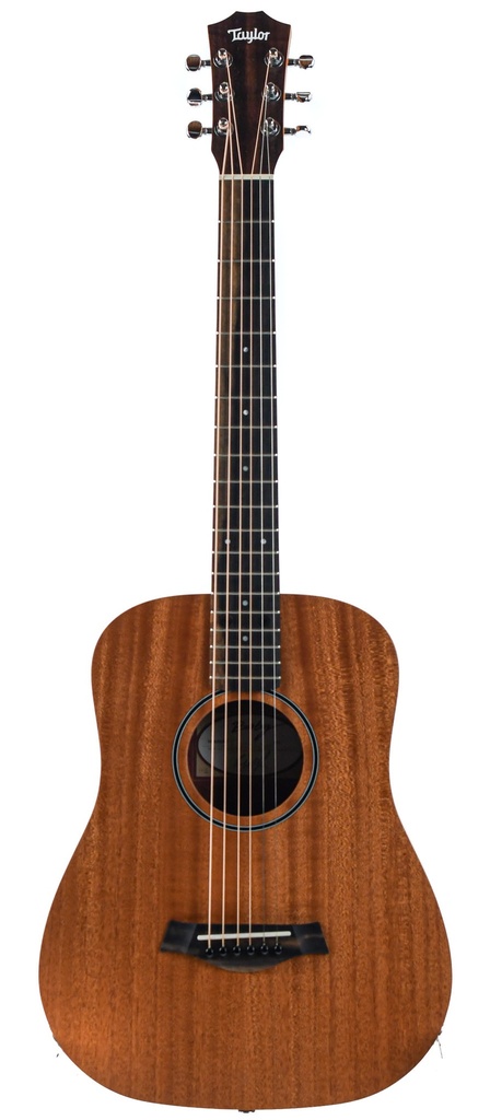 Taylor Baby BT2