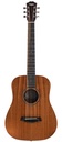 Taylor Baby BT2