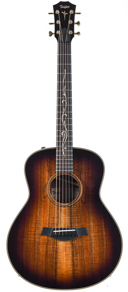 Taylor GT K21e