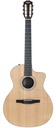 Taylor 214ce-N Nylon