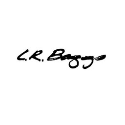 LR Baggs