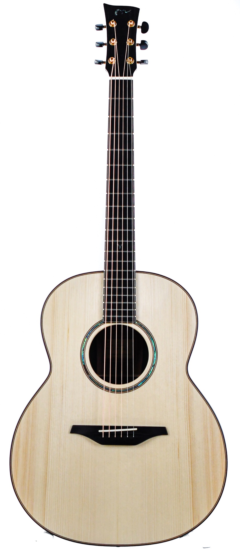 超貴重】Martin MC Adirondack 1 純正ブルーケース付き！