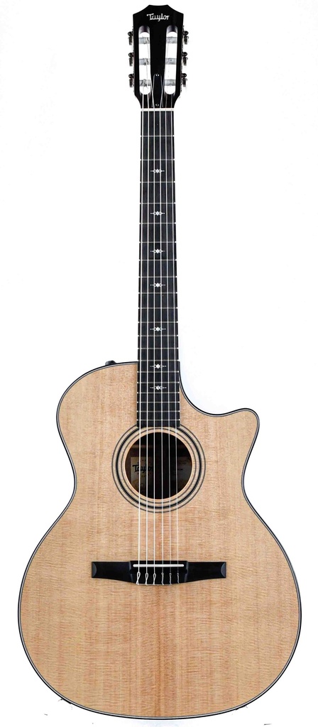 Taylor 314ce-N Nylon