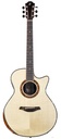 Furch Red Deluxe Gc LR Indian Rosewood Alpine Spruce SPA
