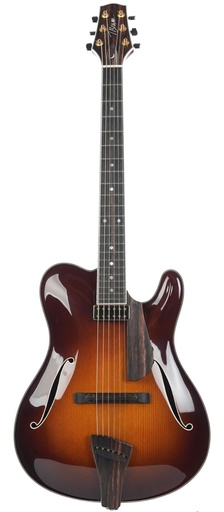 Tim Bram Tribute Archtop Carved Top Tobacco Sunburst