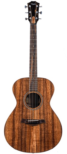 [E097001018106991000] Taylor Jacob Collier Signature Model 6 String