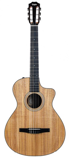 [C104026103807931000] Taylor 112ce-N Nylon