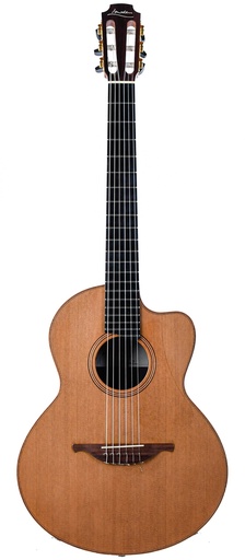 [18975] Lowden S25J Jazz Nylon Crossover Cedar Indian Rosewood 2014