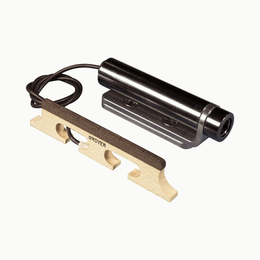 [xtfoa1247] LR Baggs Banjo