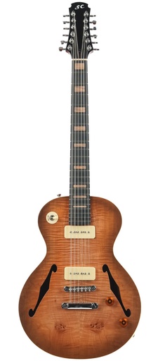 [54] Stoney Creek Obsidian Semi Hollow 12 String 2020